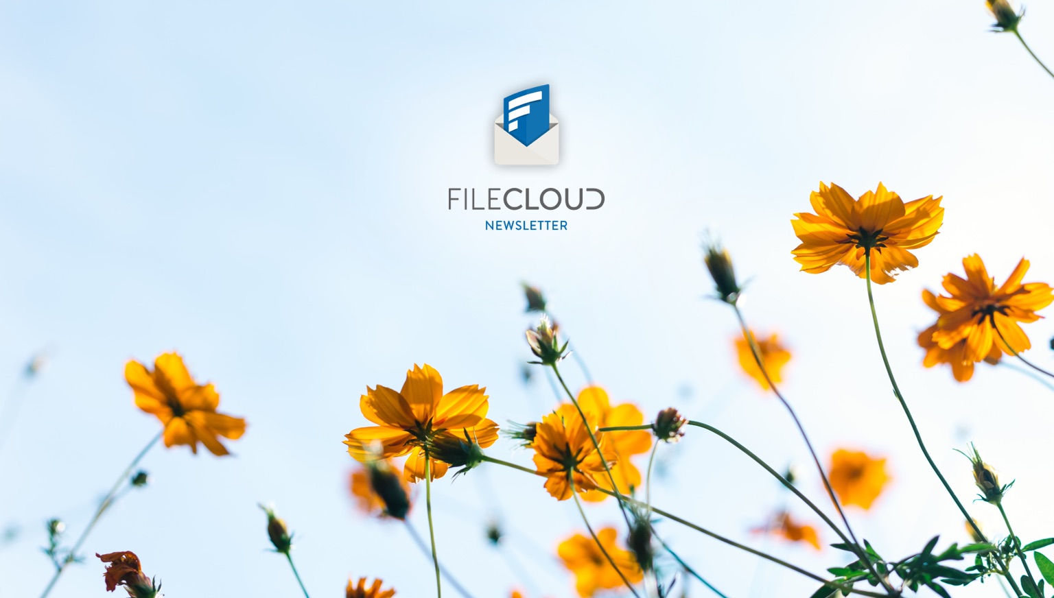 FileCloud Newsletter