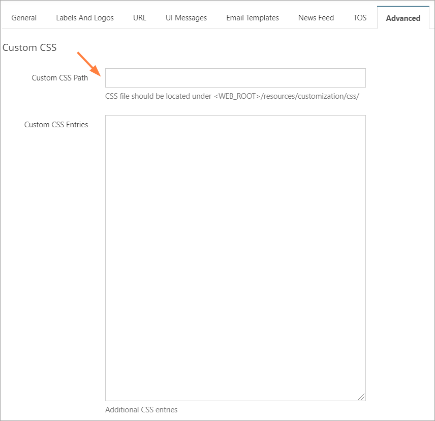 Custom CSS path field in Customization Advanced tab