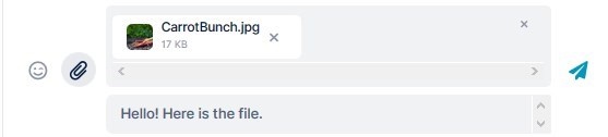 AirSend > Add a file to a message > ASSimpleChat.jpg